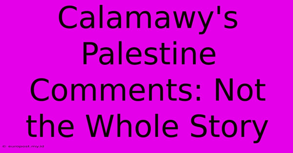 Calamawy's Palestine Comments: Not The Whole Story