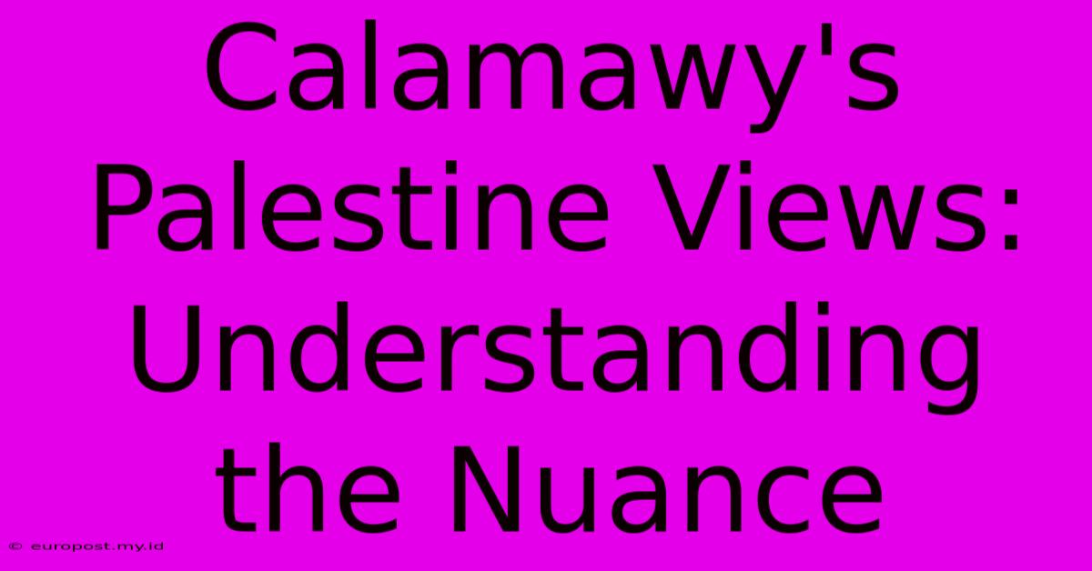 Calamawy's Palestine Views: Understanding The Nuance