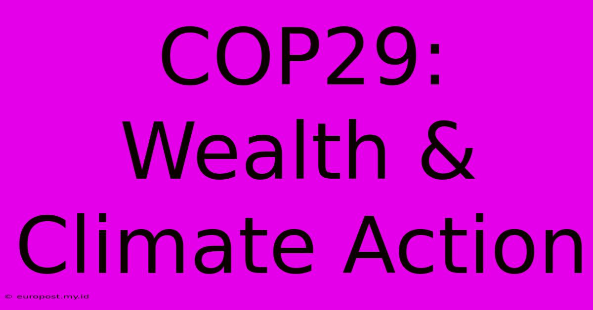 COP29:  Wealth & Climate Action