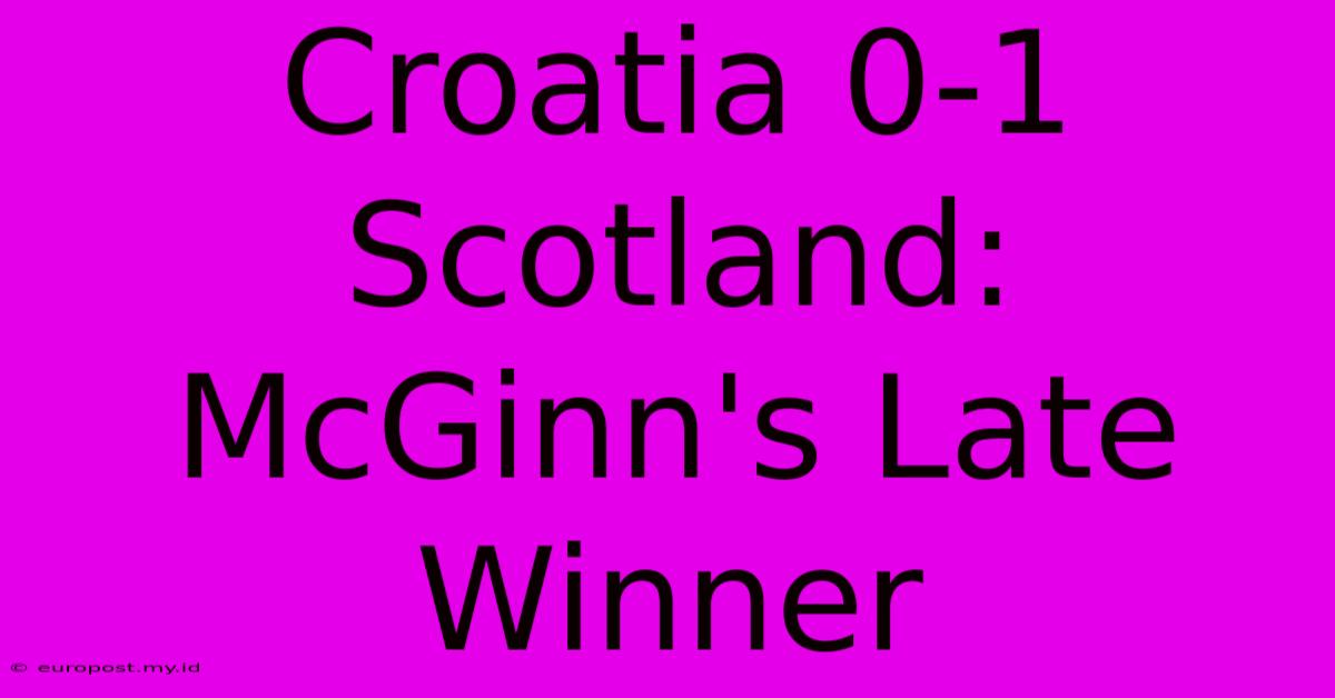 Croatia 0-1 Scotland: McGinn's Late Winner