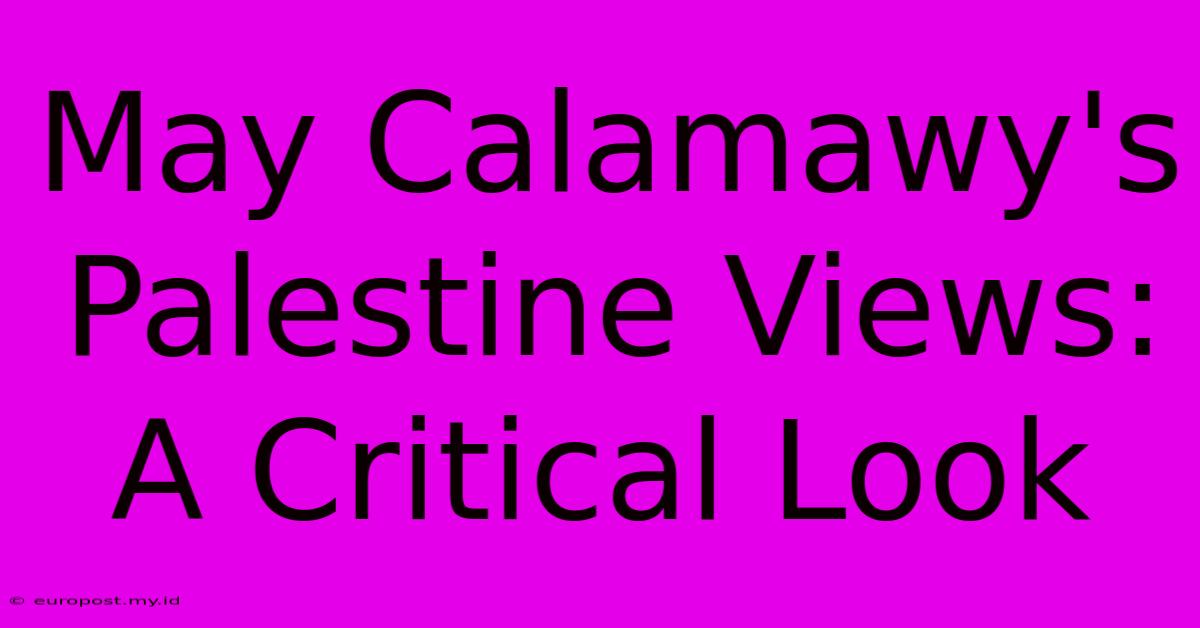 May Calamawy's Palestine Views: A Critical Look