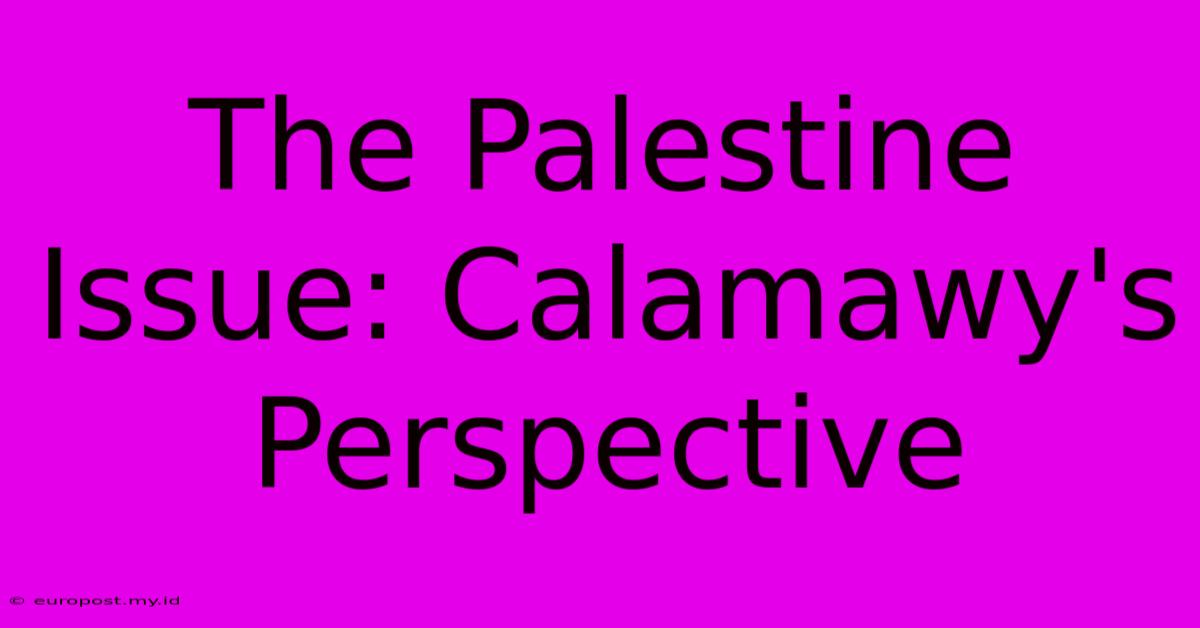 The Palestine Issue: Calamawy's Perspective