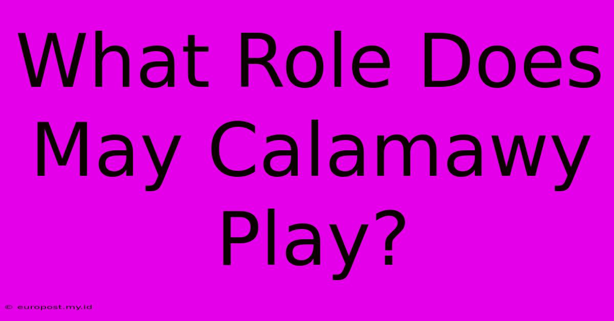 What Role Does May Calamawy Play?